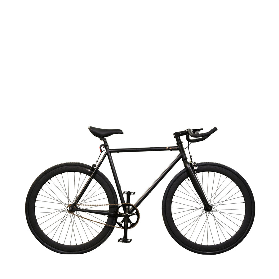 dinamo (bicycle size 54)